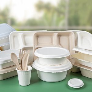 Eco Friendly Disposable Products