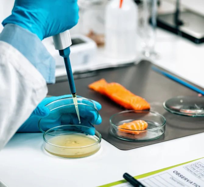 Food_Testing_825152ef-2849-4799-a7fc-fb318bd16f50