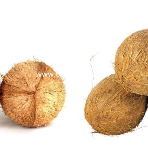 Coconut