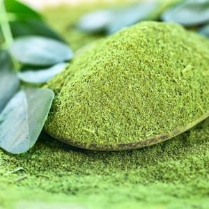 Moringa-Powder