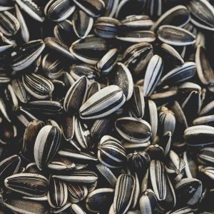 Sunflower Seeds