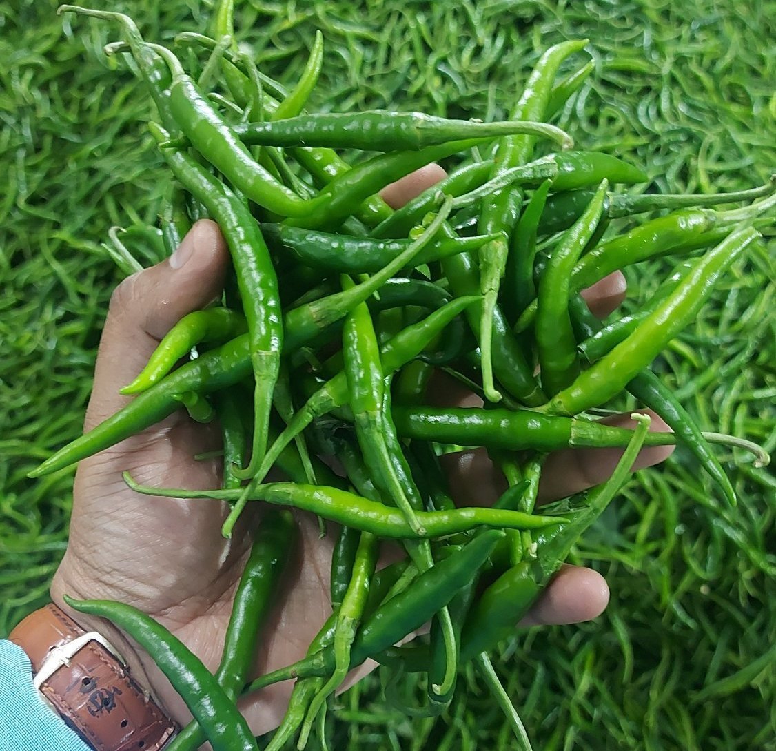 Green chilli