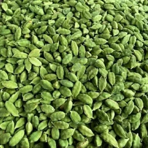 Green Cardamom