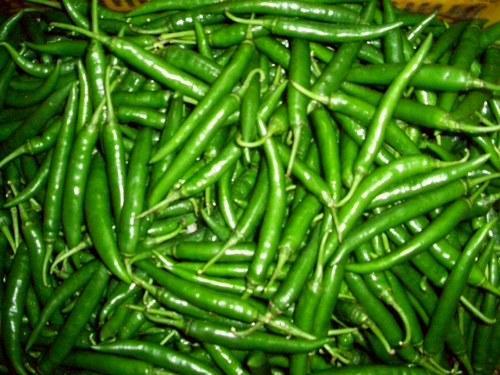Green chilli - Image 4