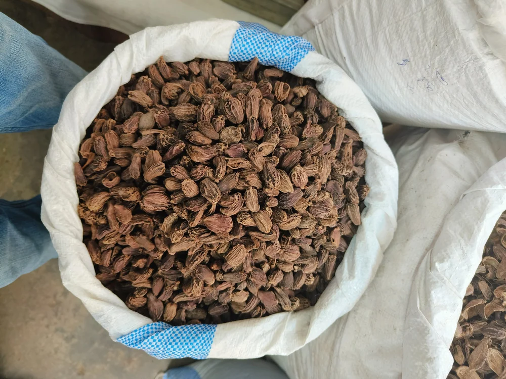 large-black-cardamom-1000x1000 (1)